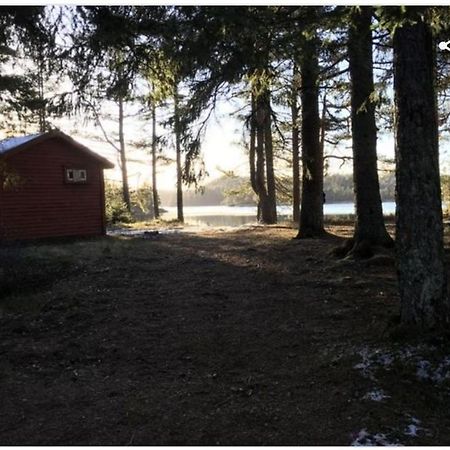 Cabin In The Woods, Lolandsvannet Near Kristiansand Vennesla Luaran gambar