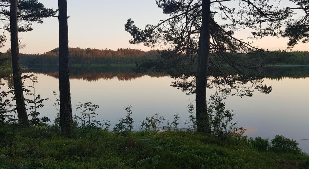 Cabin In The Woods, Lolandsvannet Near Kristiansand Vennesla Luaran gambar