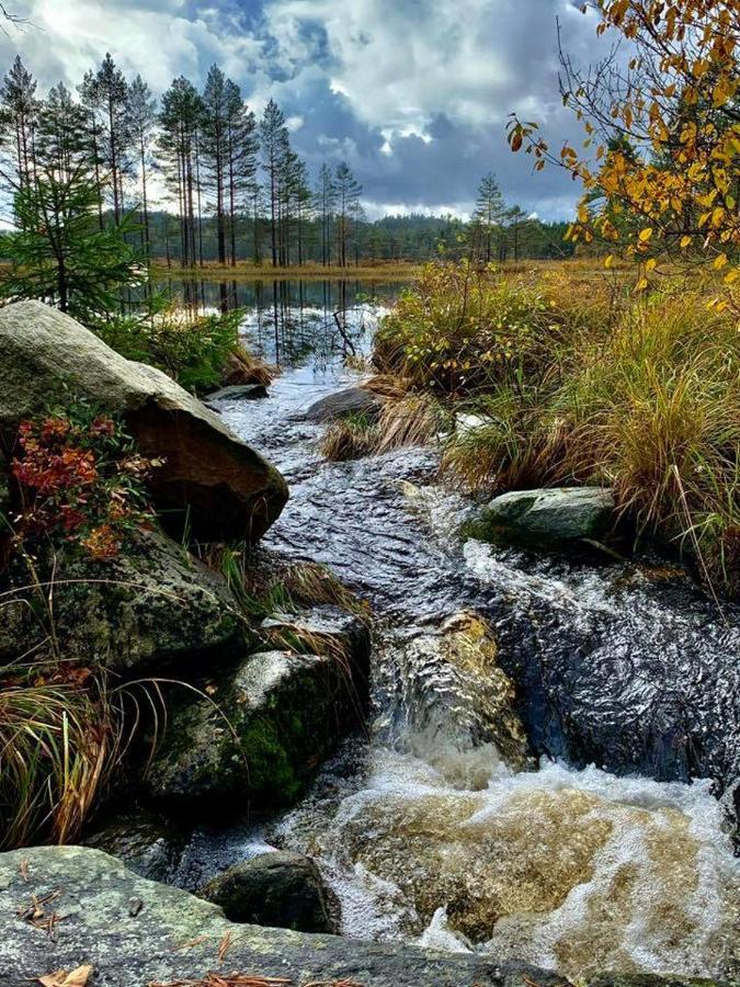 Cabin In The Woods, Lolandsvannet Near Kristiansand Vennesla Luaran gambar