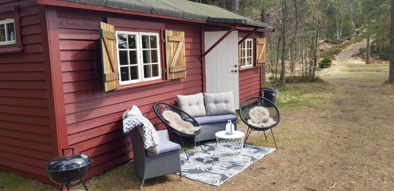 Cabin In The Woods, Lolandsvannet Near Kristiansand Vennesla Luaran gambar